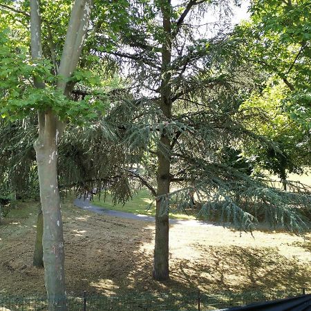 Chambre D'Hote Dans Une Maison Avec Parking Privee Σαιντ-Ετιέν Εξωτερικό φωτογραφία