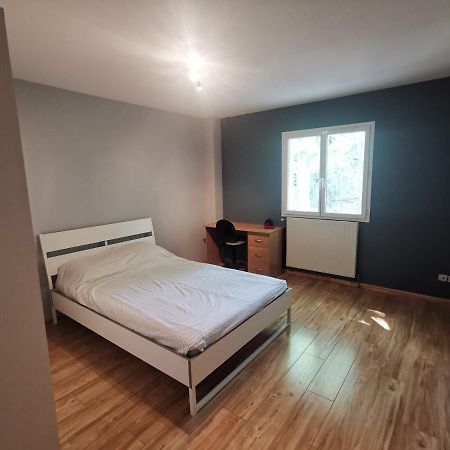 Chambre D'Hote Dans Une Maison Avec Parking Privee Σαιντ-Ετιέν Εξωτερικό φωτογραφία